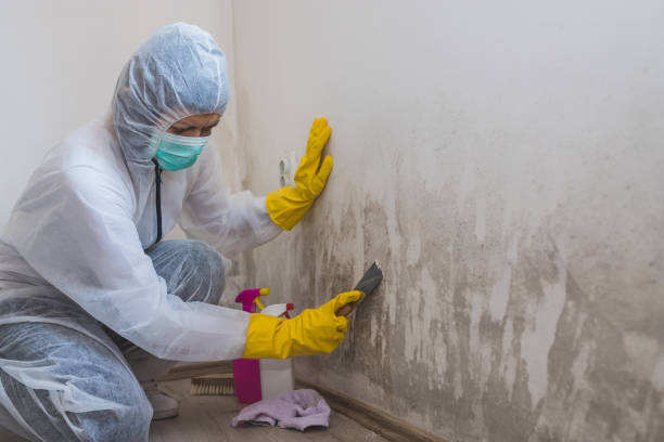Water Damage Restoration in Bayou Vista, LA